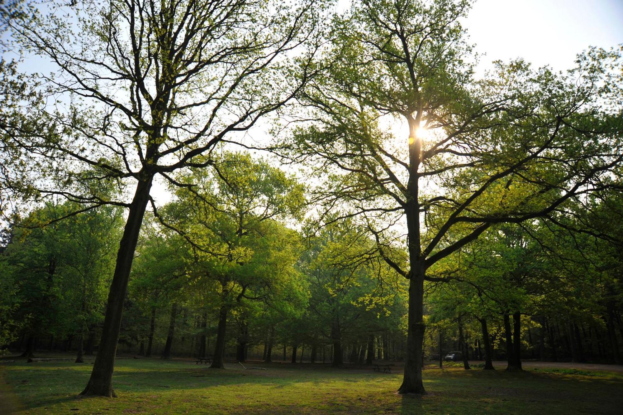 Parkhotel Mastbosch Breda Bagian luar foto